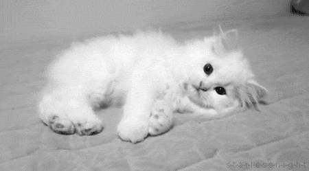 Cat 465