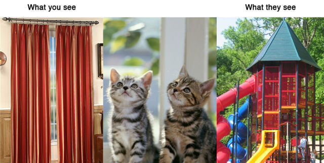 Cat 134