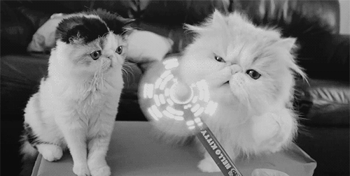 Cat 472