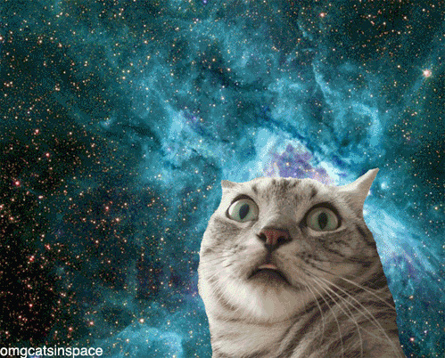 Cat 475