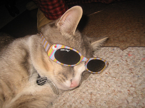 Cat 210
