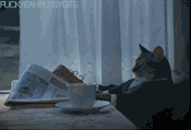 Cat 483