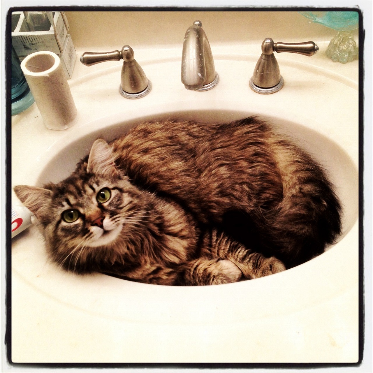 Cat 312
