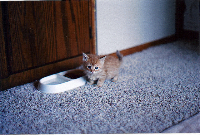 Cat 327